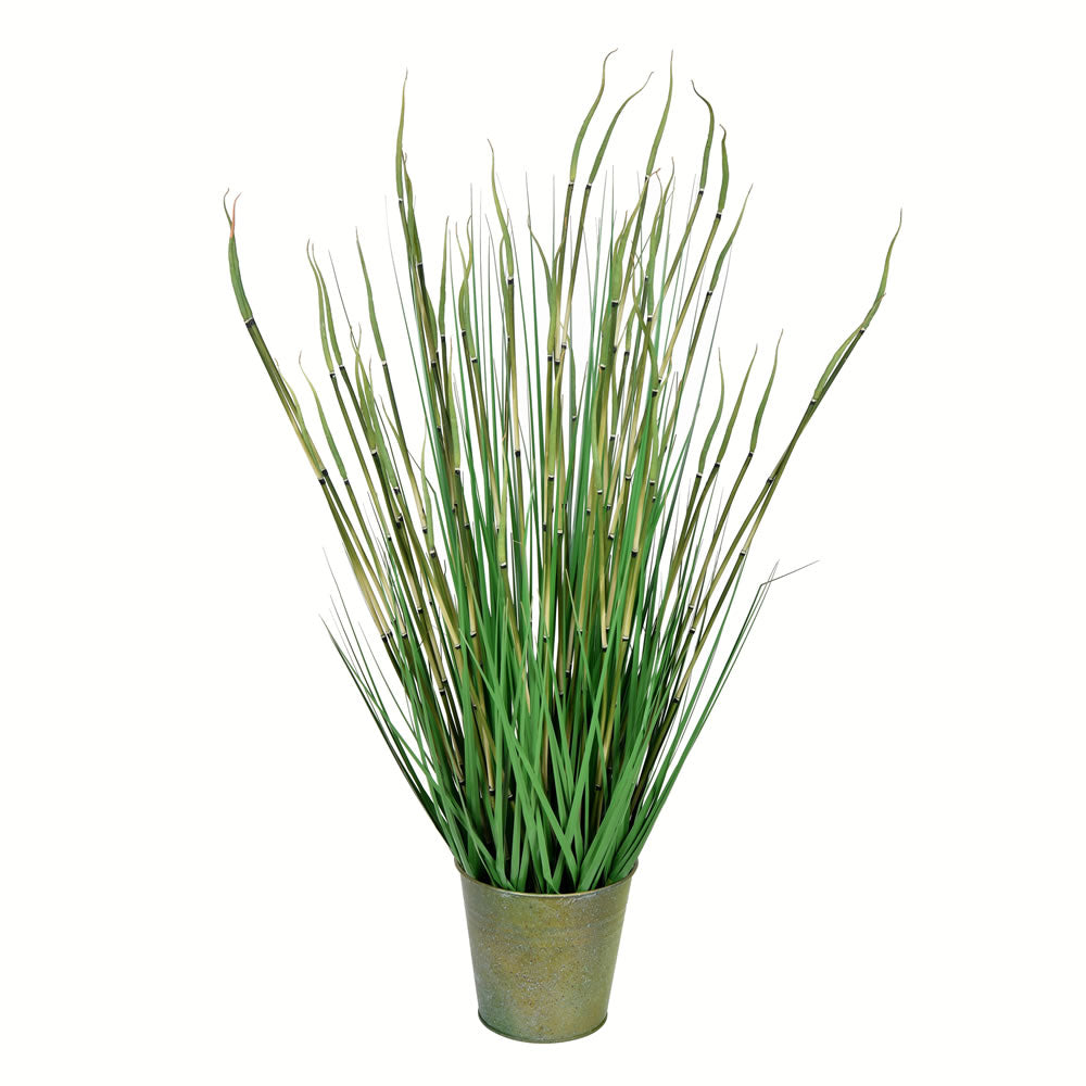 Vickerman 34” Green Reed Grass In Iron Pot - TD190434