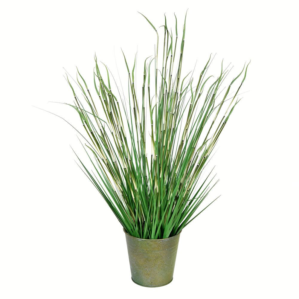 Vickerman 41” Green Reed Grass In Iron Pot - TD190441