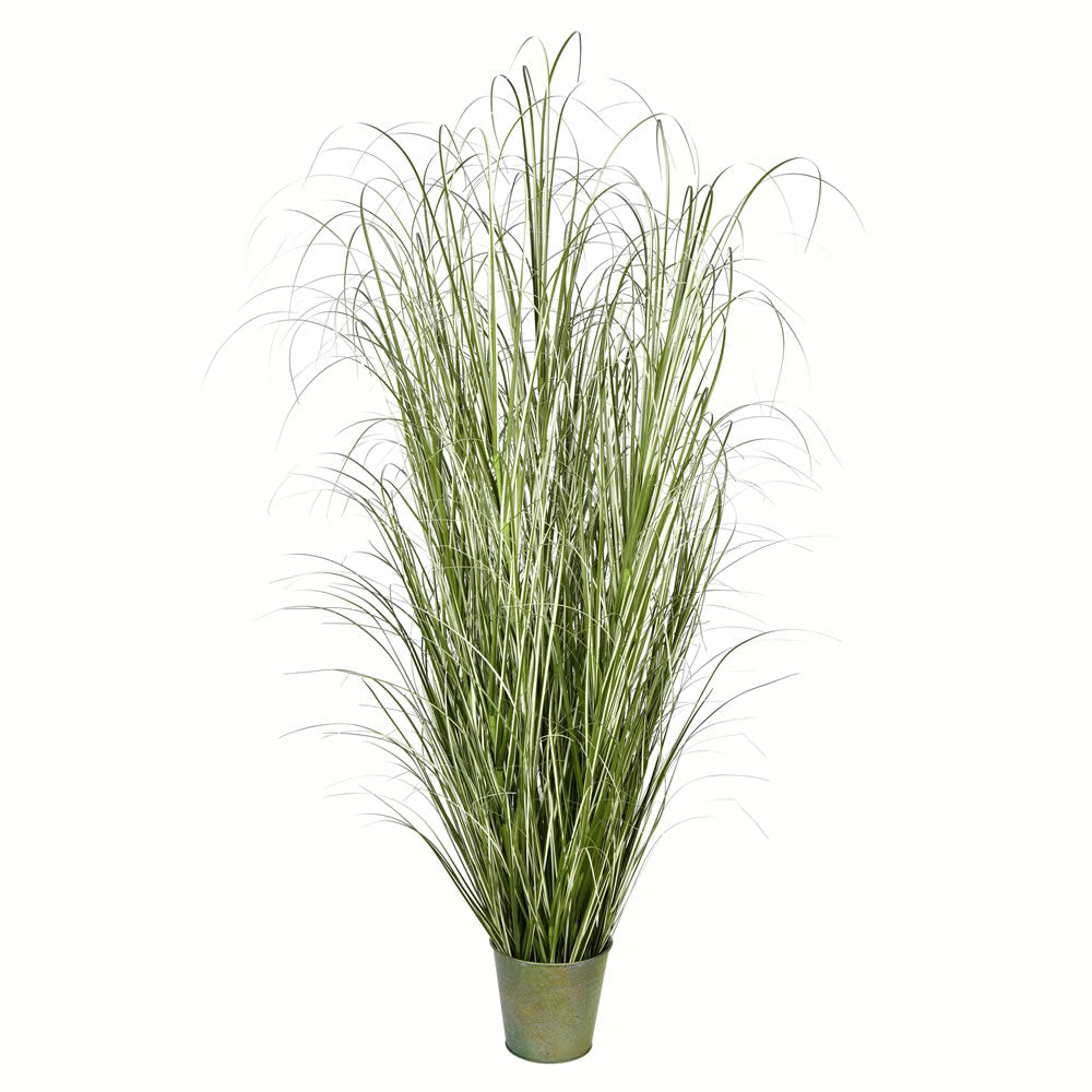 Vickerman 72” Native Green Grass In Iron Pot - TD190572