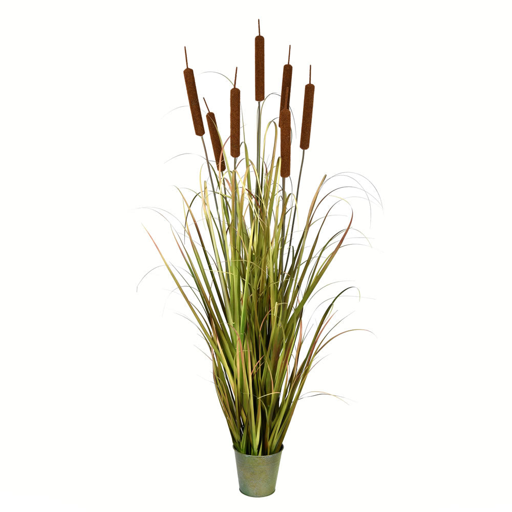 Vickerman 60” Green Cattail Grass In Iron Pot - TD190660