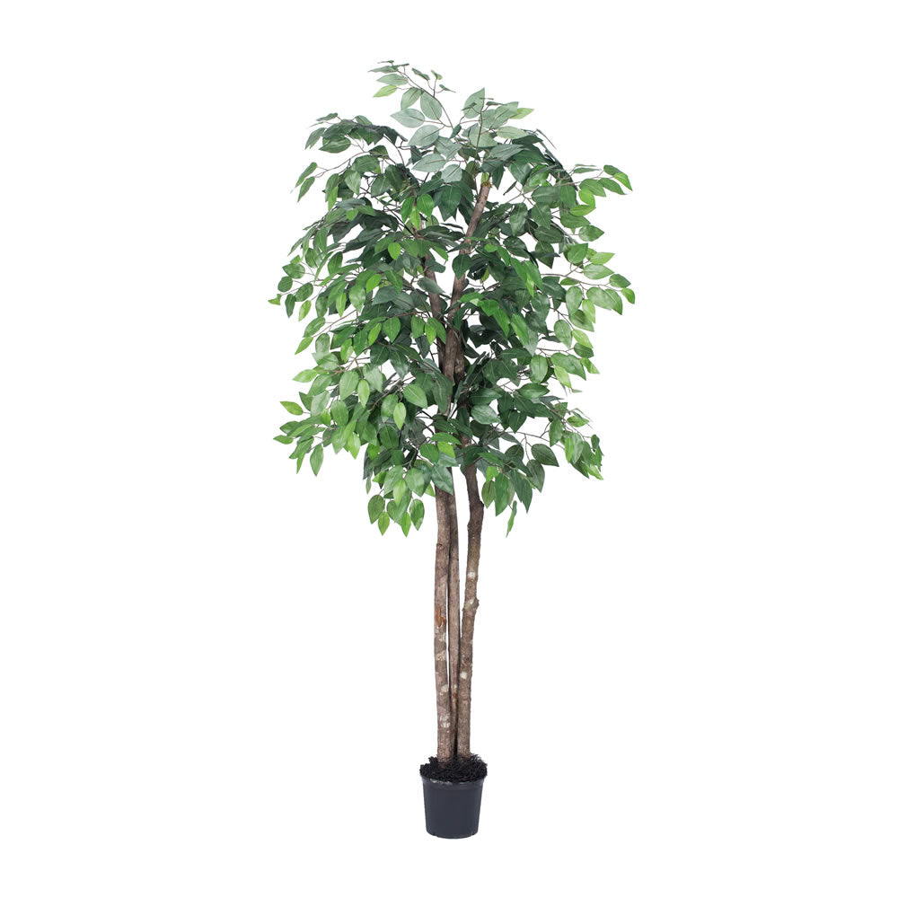 Vickerman 6' Ficus Deluxe - TDX0160-07