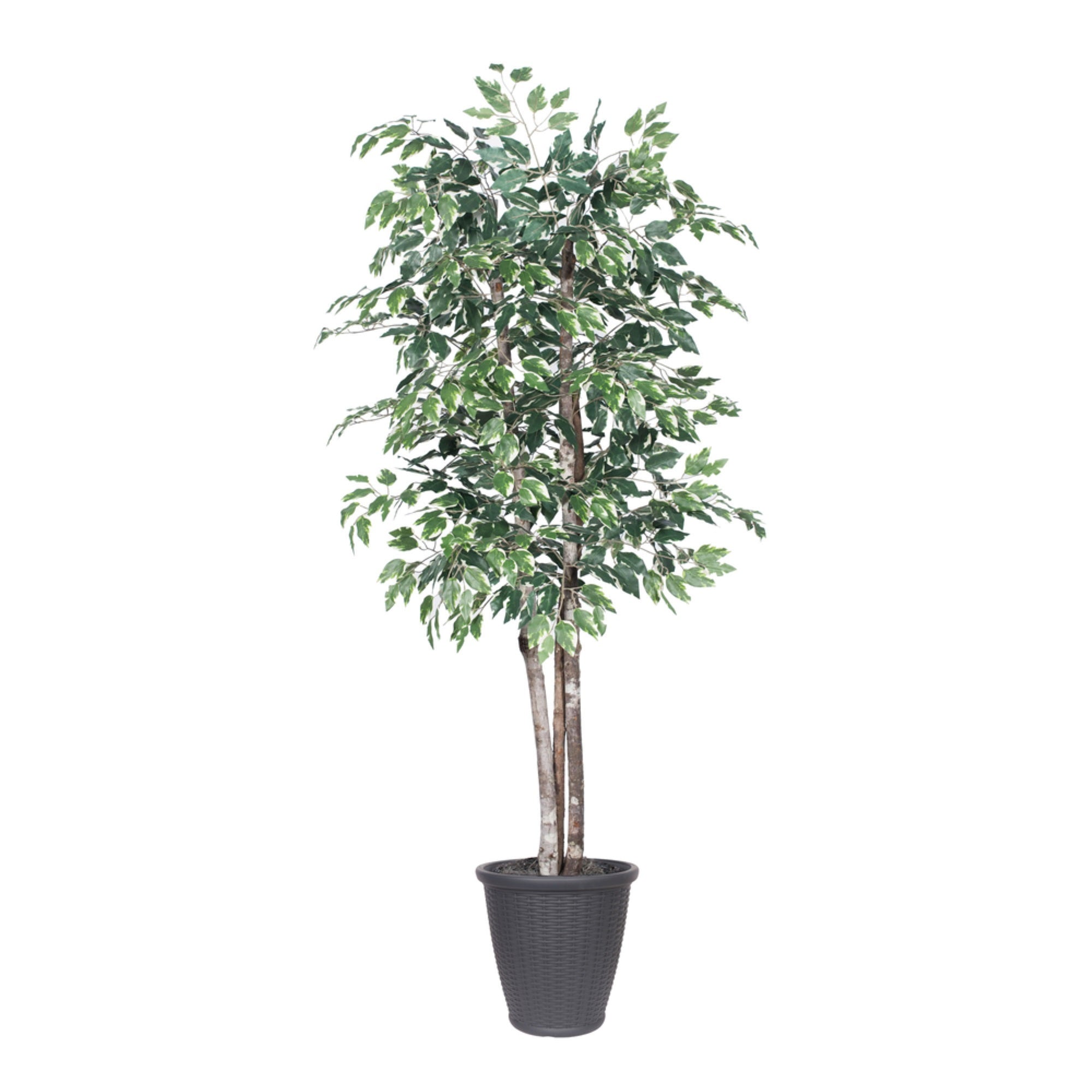 6' Variegated Deluxe Round Gray Cont