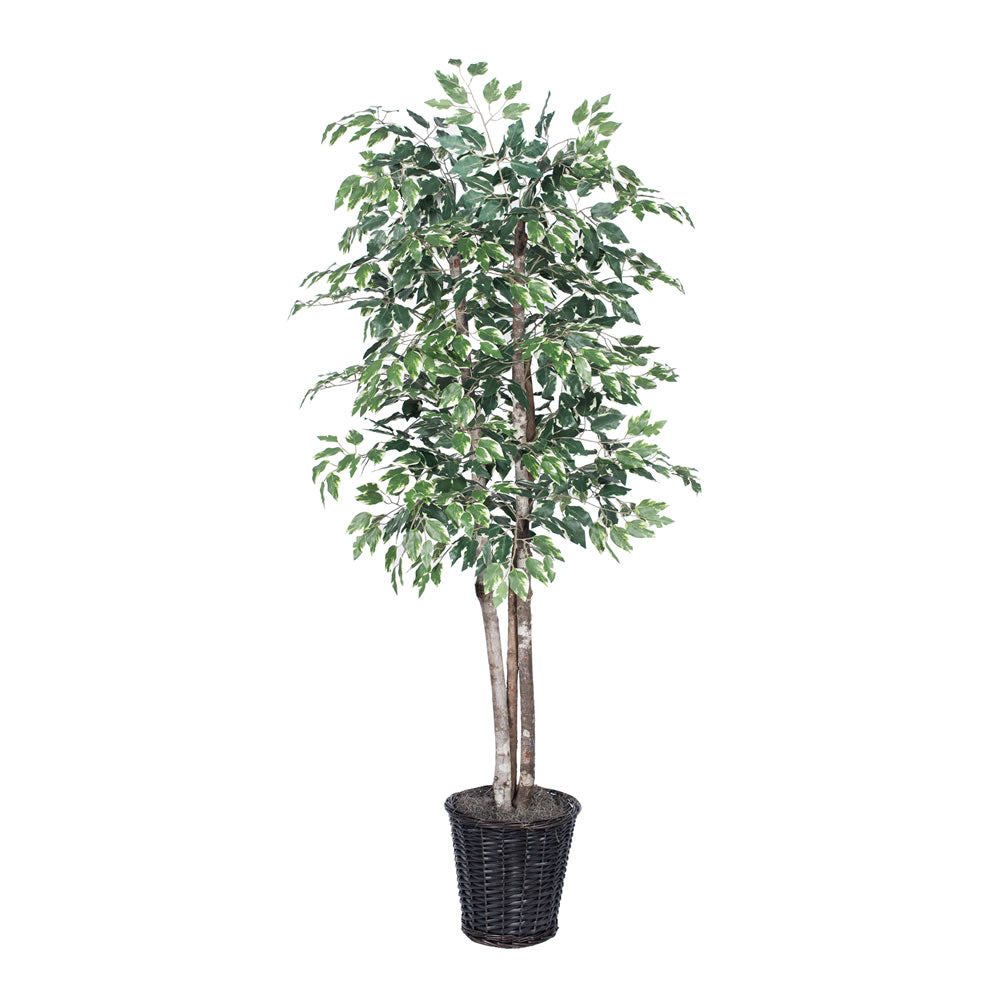 Vickerman 6' Variegated Deluxe - TDX0260