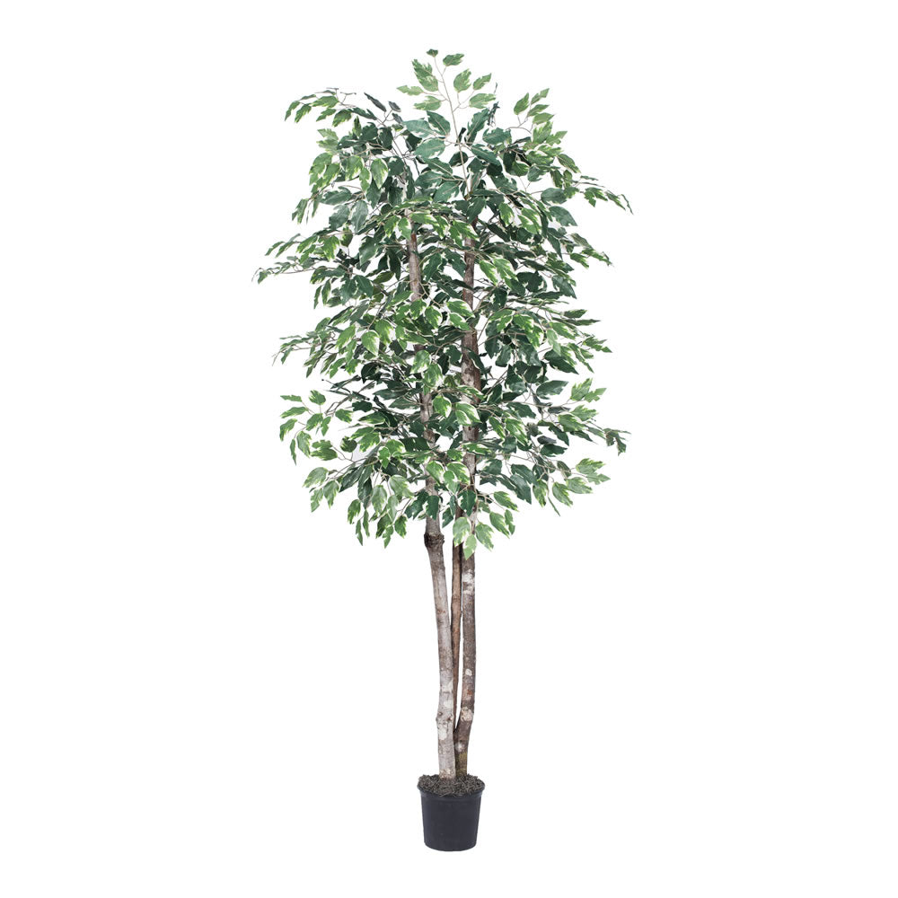 Vickerman 6' Variegated Deluxe - TDX0260-07
