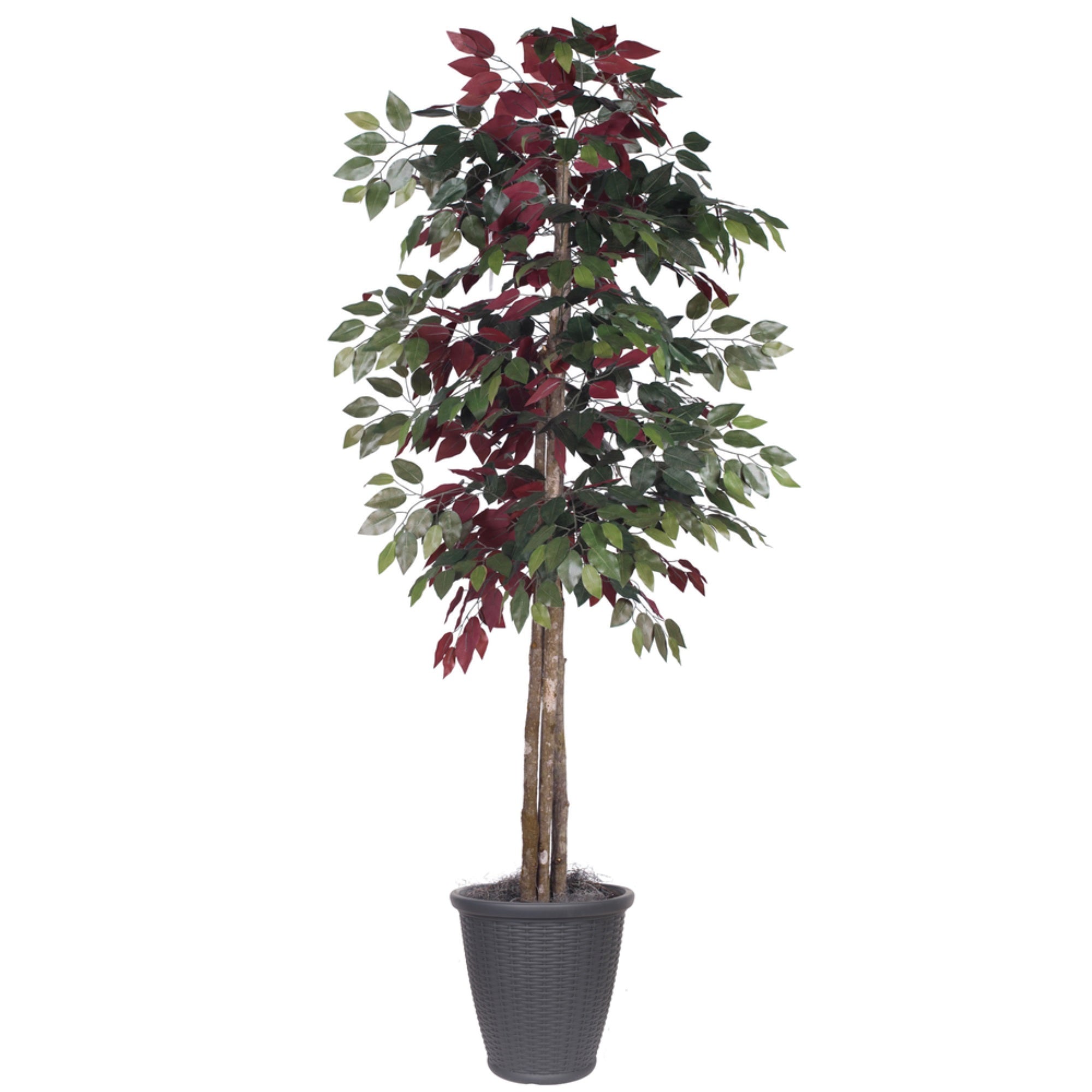 6' Capensia Deluxe Round Gray Container