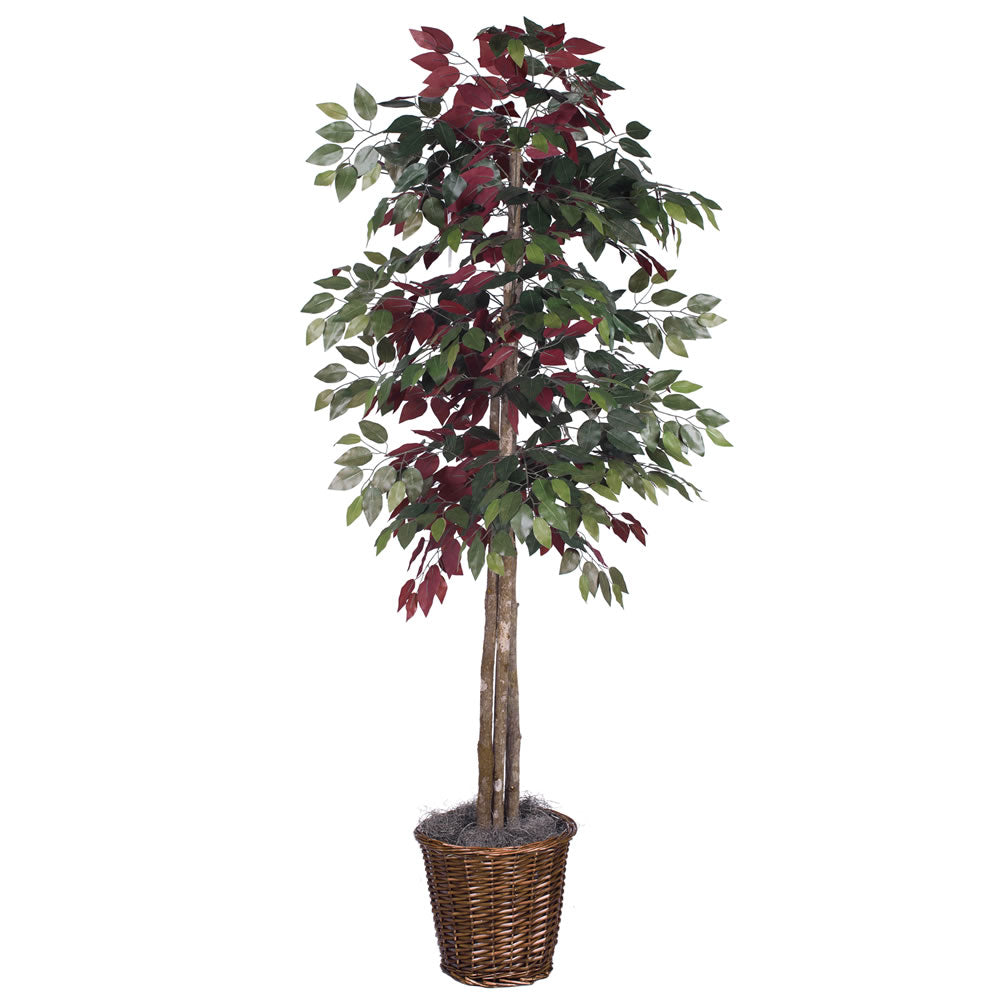 Vickerman 6' Capensia Deluxe - TDX0360