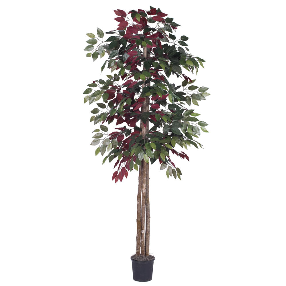 Vickerman 6' Capensia Deluxe - TDX0360-07