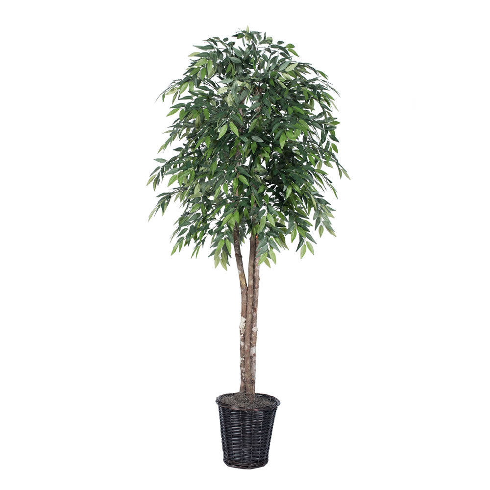 Vickerman 6' Green Smilax Deluxe - TDX1460