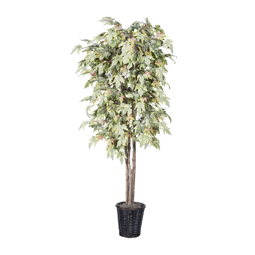 Vickerman 6' Frosted Maple Deluxe - TDX1760