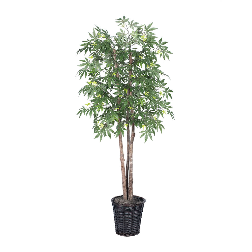 Vickerman 6' Japanese Maple Deluxe - TDX1860