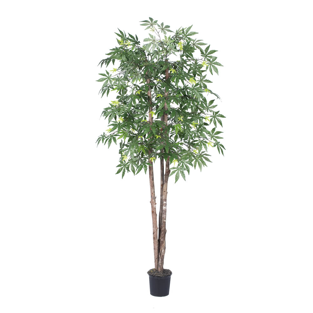 Vickerman 6' Japanese Maple Deluxe - TDX1860-07