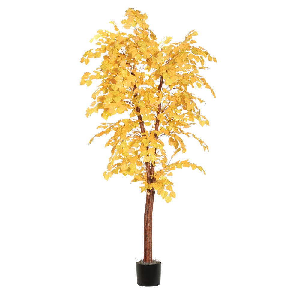 Vickerman 6' Golden Aspen Deluxe Tree - TDX2260-07