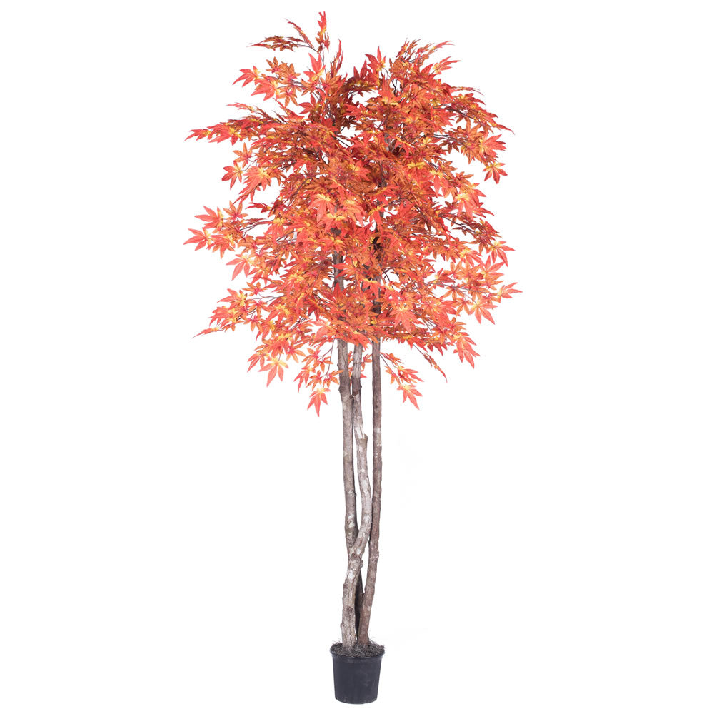 Vickerman 6' Orange Maple Deluxe - TDX3760-07