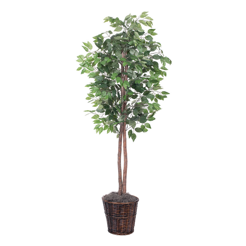 Vickerman 6' Ficus tree - TEC0160