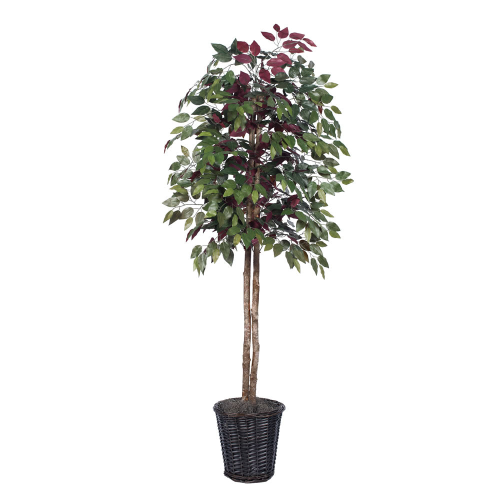 Vickerman 6' Capensia tree - TEC0360