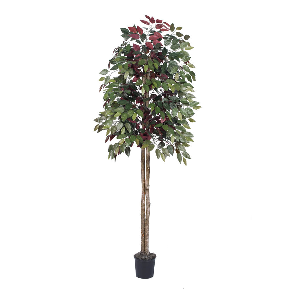 Vickerman 6' Capensia tree - TEC0360-07