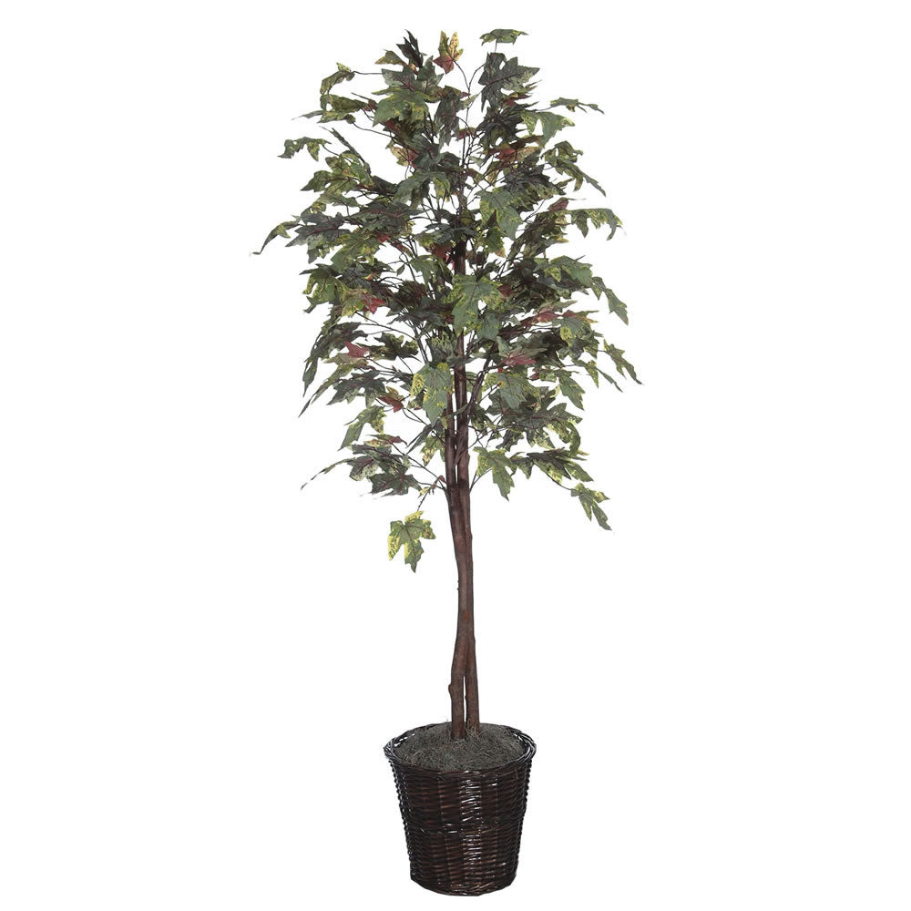 Vickerman 6' Frosted Maple tree - TEC1760