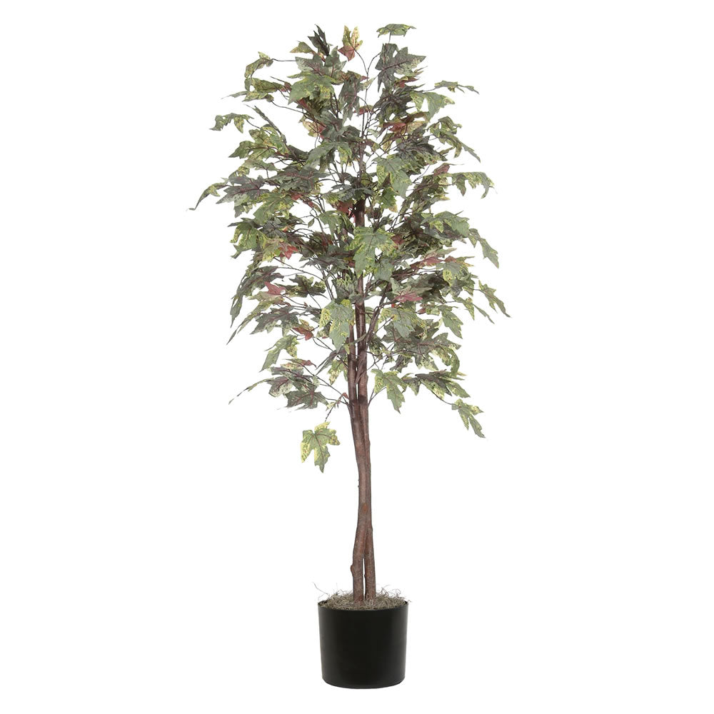 Vickerman 6' Frosted Maple tree - TEC1760-07