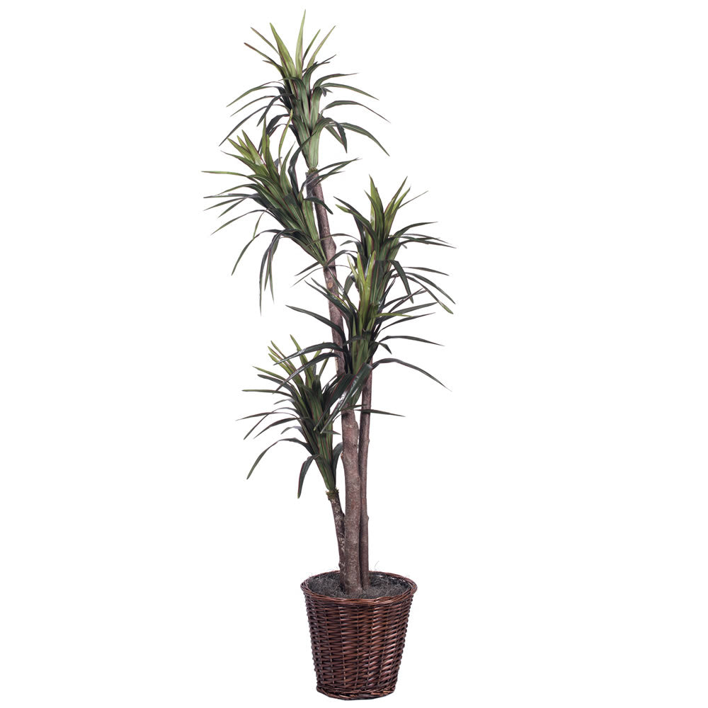 Vickerman 6' Marginata Executive - TEX1160