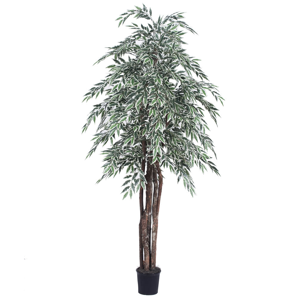 Vickerman 6' Variegated Smilax Executive - TEX1360-07