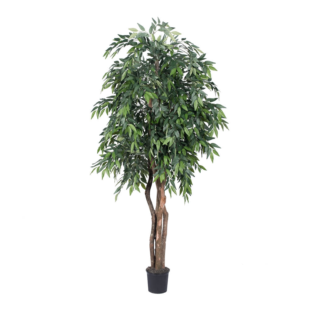 Vickerman 6' Green Smilax Executive Style - TEX1460-07