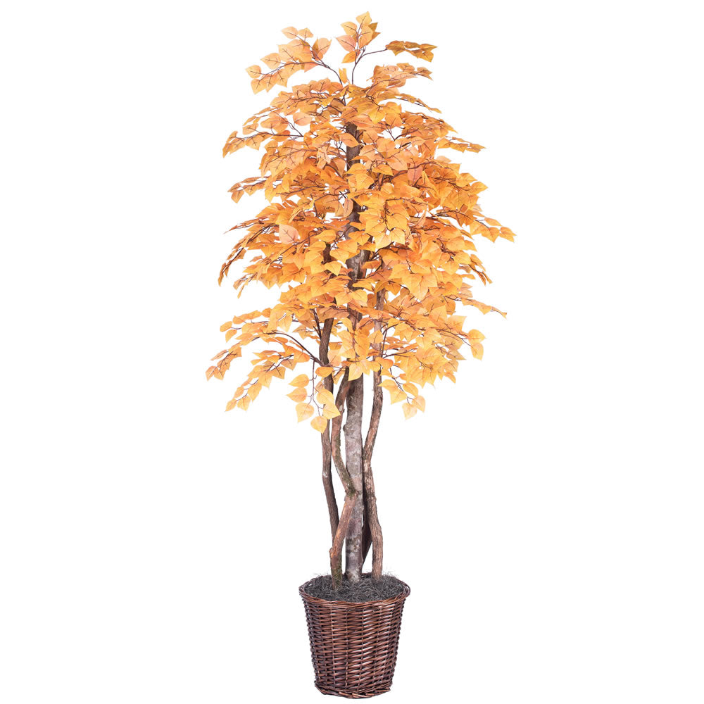 Vickerman 6' Golden Aspen Executive Tree - TEX2260