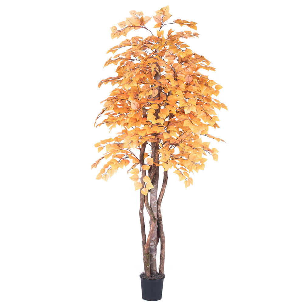 Vickerman 6' Golden Aspen Executive Tree - TEX2260-07