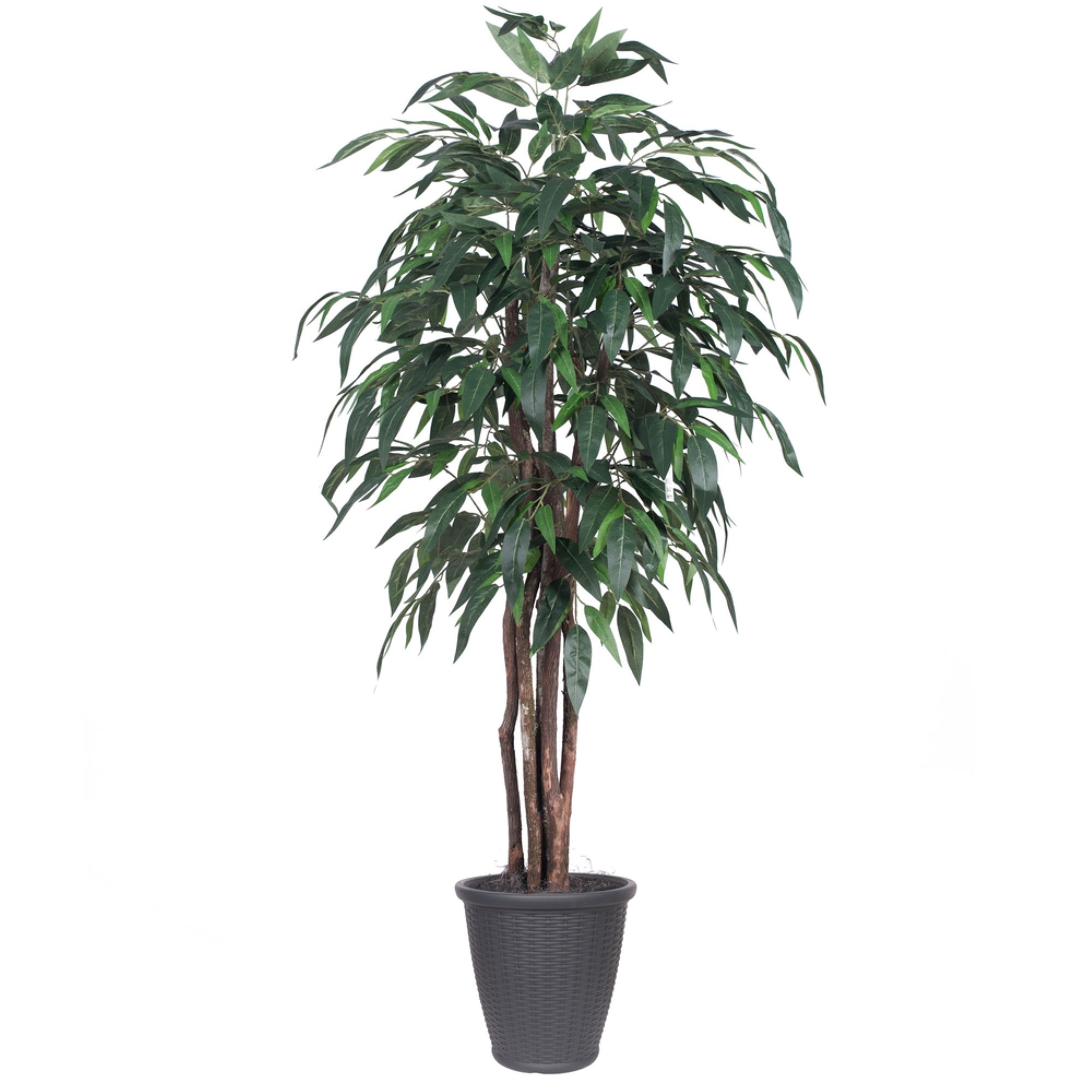 6' Mango Executive Round Gray Container