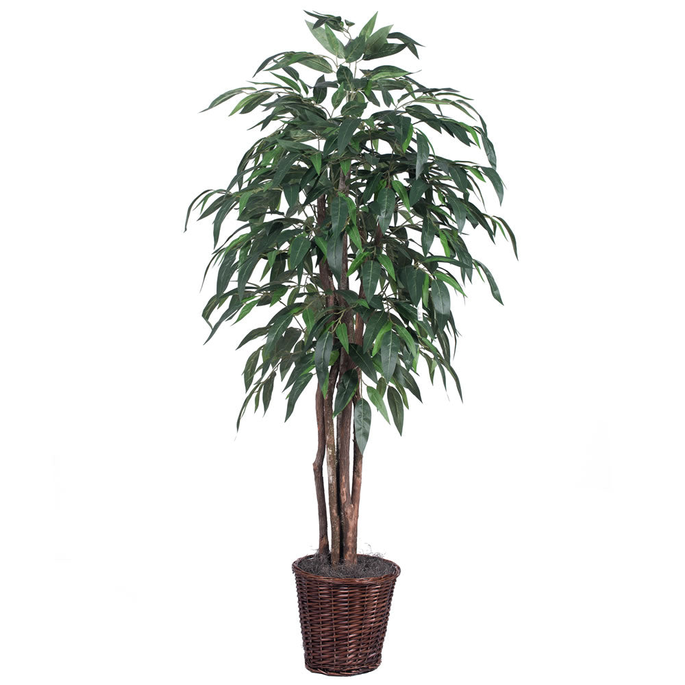 Vickerman 6' Mango Executive - TEX2860