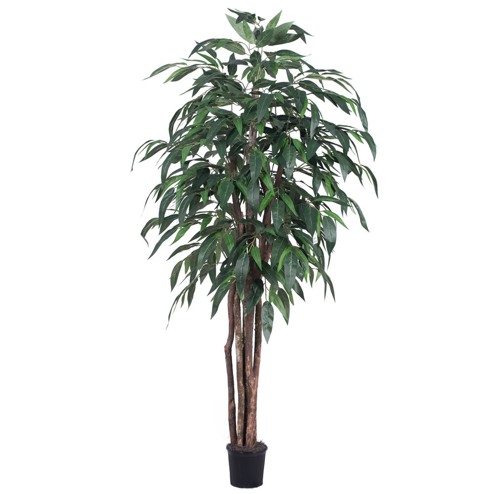 Vickerman 6' Mango Executive - TEX2860-07