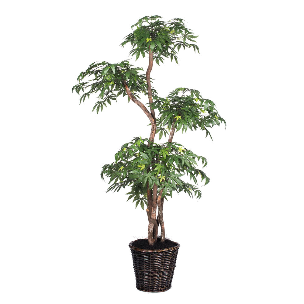 Vickerman 6' Multi Level Japanese Maple Tree - TML1860