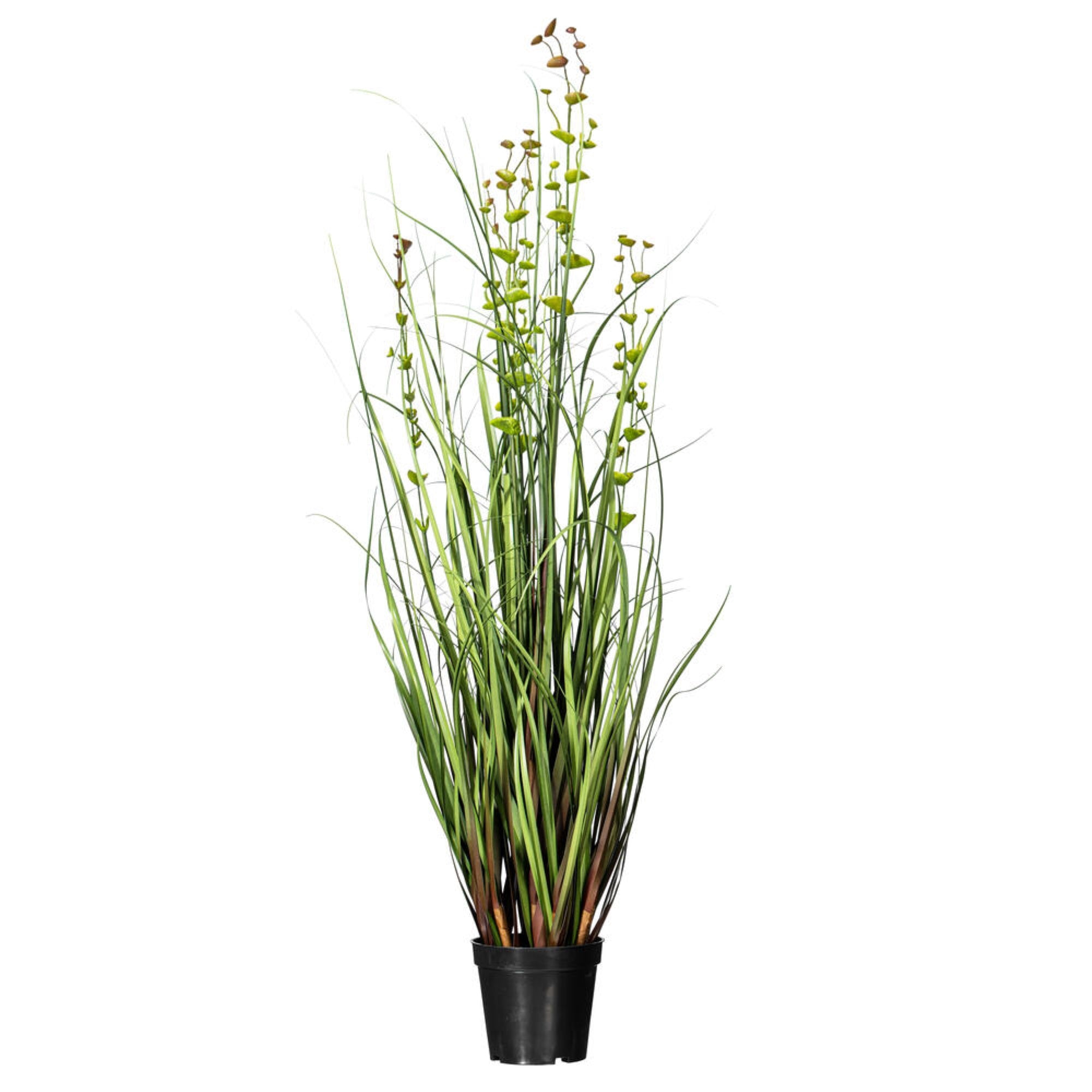 Vickerman 36” Artificial Potted Green Grass and Eucalyptus.