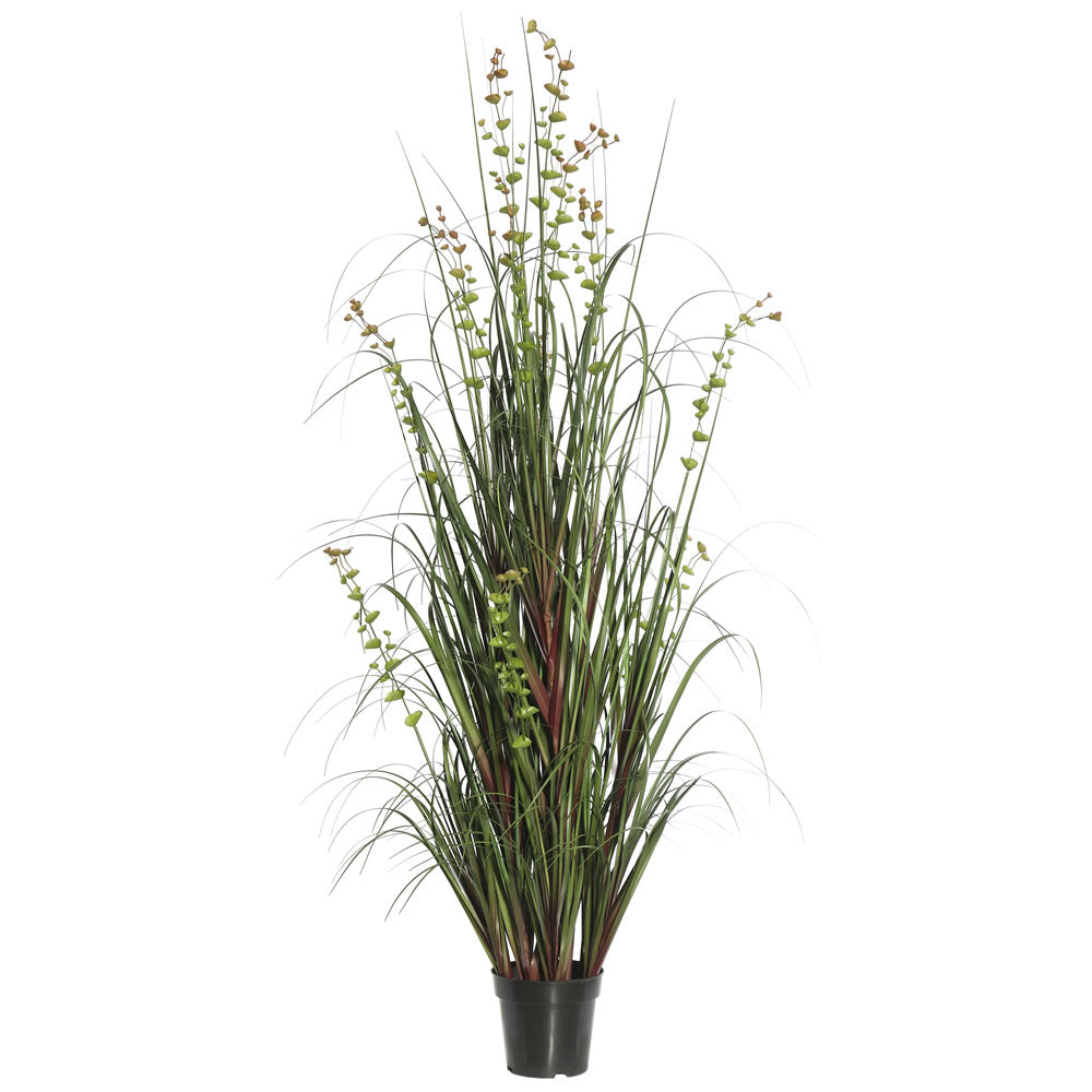 Vickerman 48″ Eucalyptus Grass Potted - TN170248