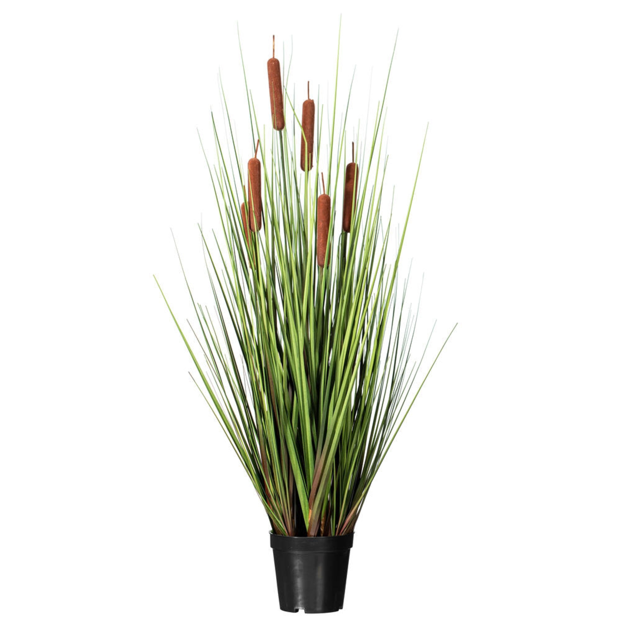 Vickerman 36” Artificial Potted Green Straight Gras and Cattails.
