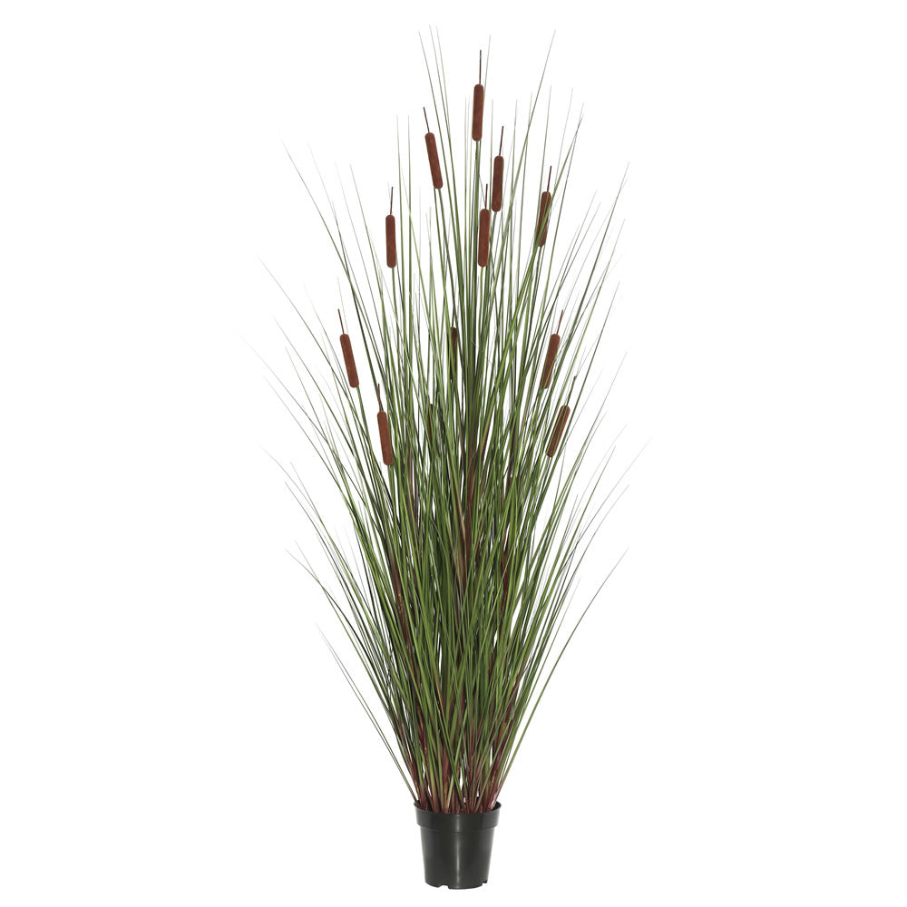Vickerman 60″ Grass with 12 Cattails Potted - TN170360
