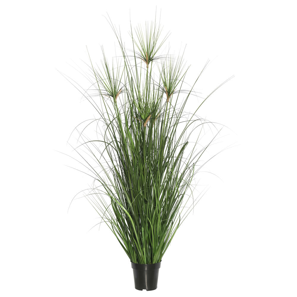Vickerman 36” Green Brushed Grass in Pot - TN170436