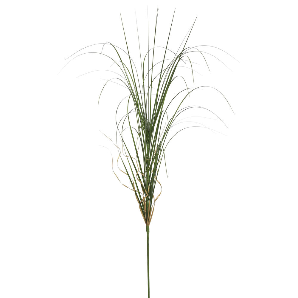 Vickerman 36” Green Curled Grass Spray 6/pk - TN170601-6