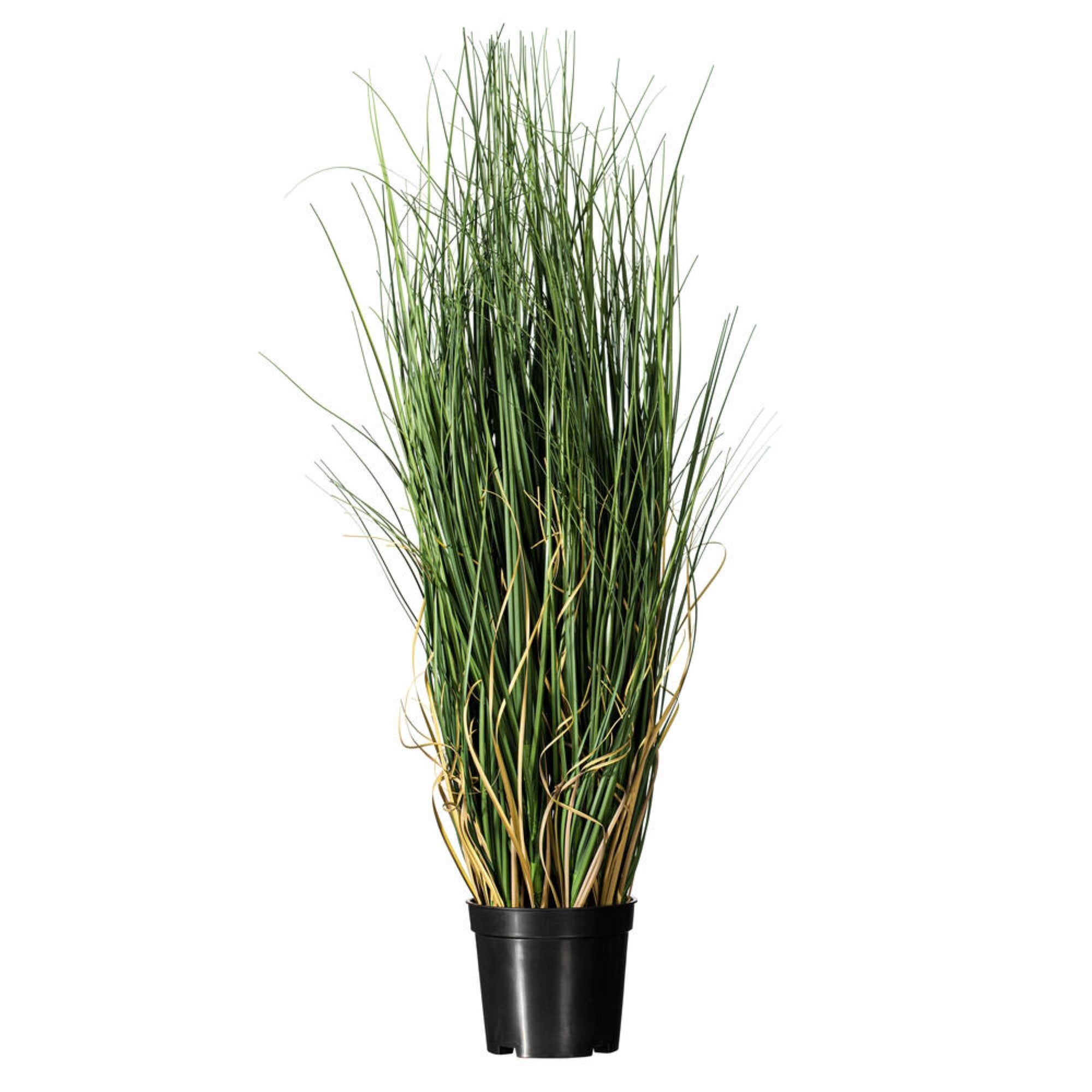 Vickerman 24″ Artificial Potted Green Curled Grass.