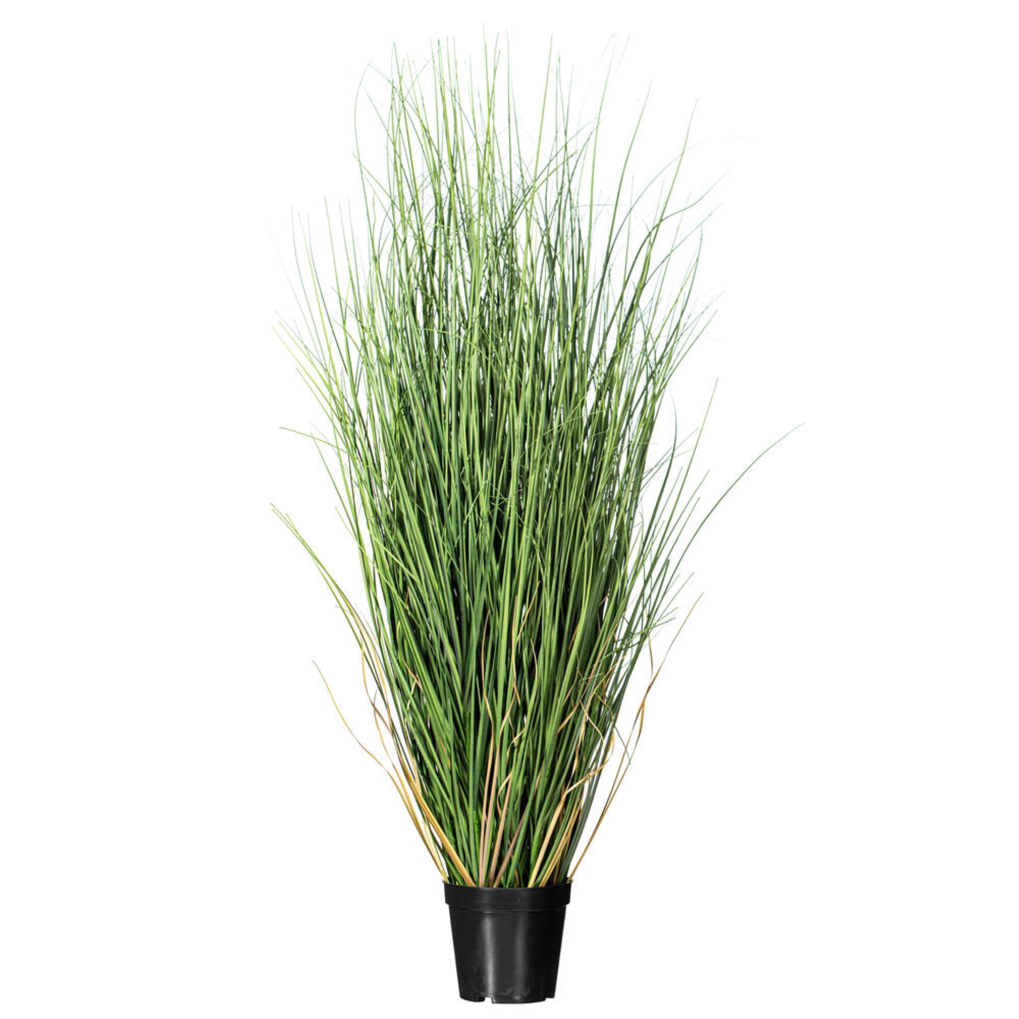 Vickerman 36” Artificial Potted Green Curled Grass.
