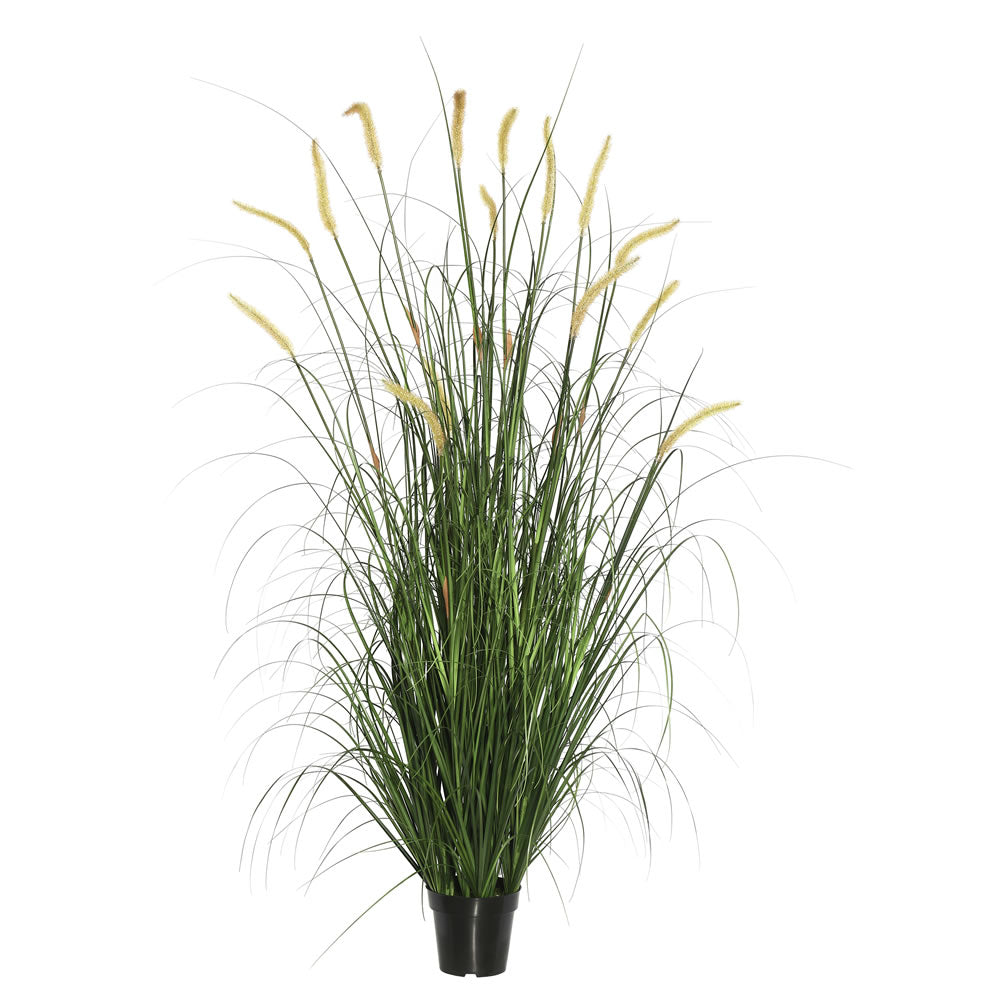Vickerman 60″ Green Foxtail Grass in Pot - TN170760