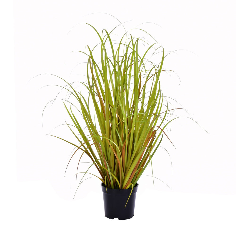 Vickerman 24″ Mixed Brown Grass in Pot - TN170824