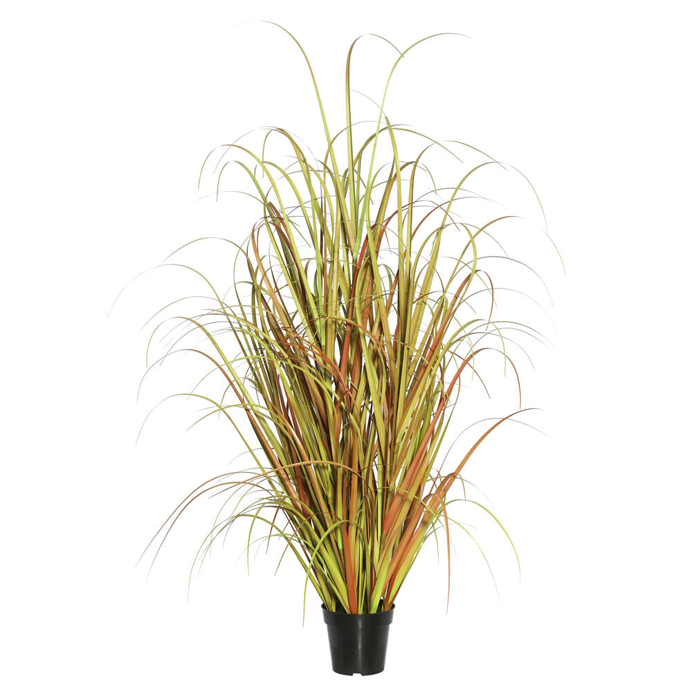 Vickerman 60″ Mixed Brown Grass in Pot - TN170860