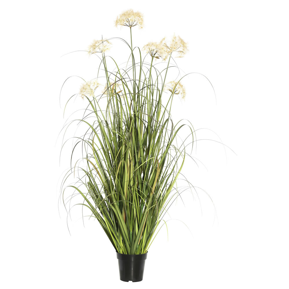 Vickerman 24″ Dandelion Grass in Pot - TN170924