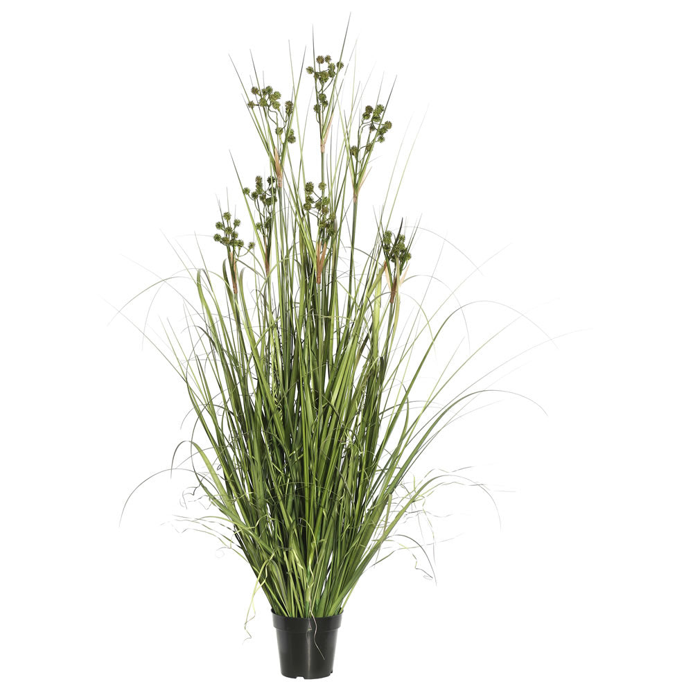 Vickerman 48″ Grass with Pomp Balls in Pot - TN171148