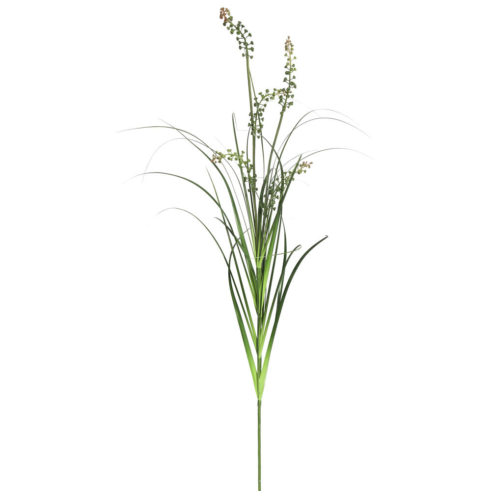 Vickerman 43” Green Sheep's Grass Spray Pk/6 - TN171201-6