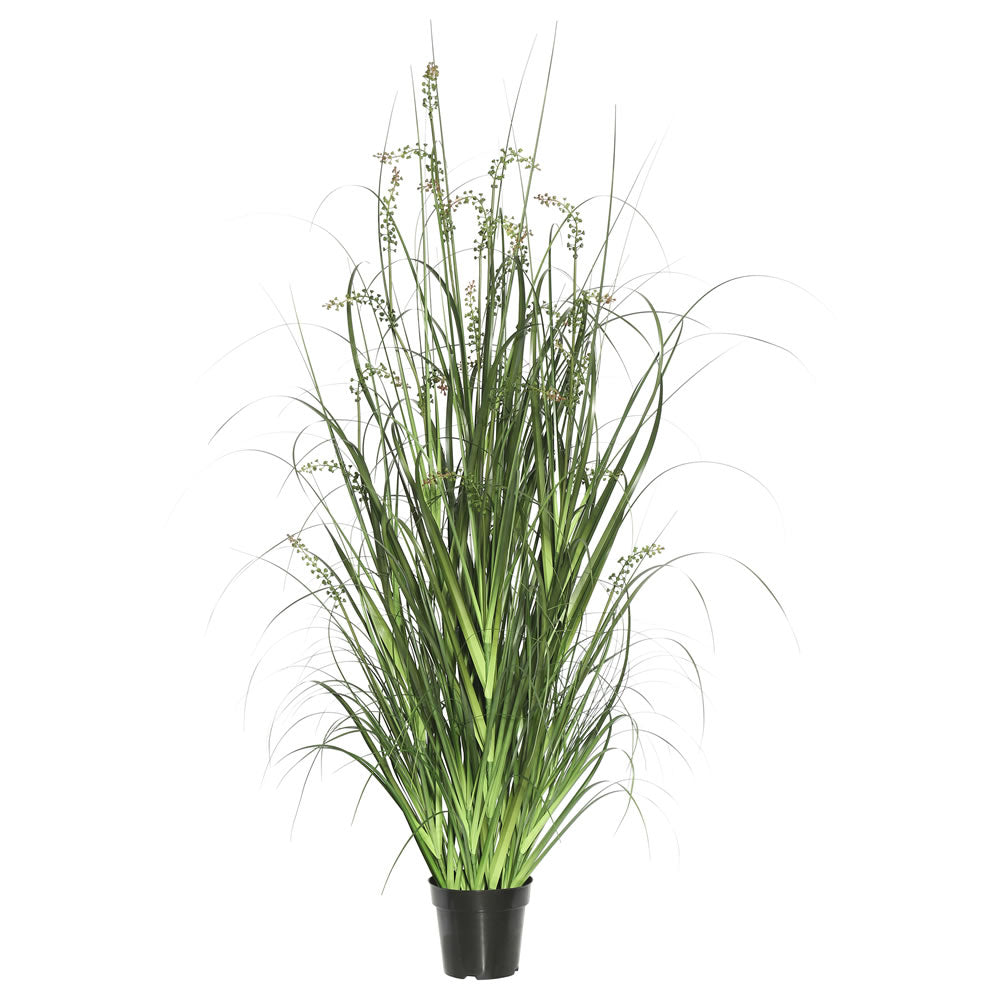 Vickerman 60″ Green Sheep's Grass in Pot - TN171260