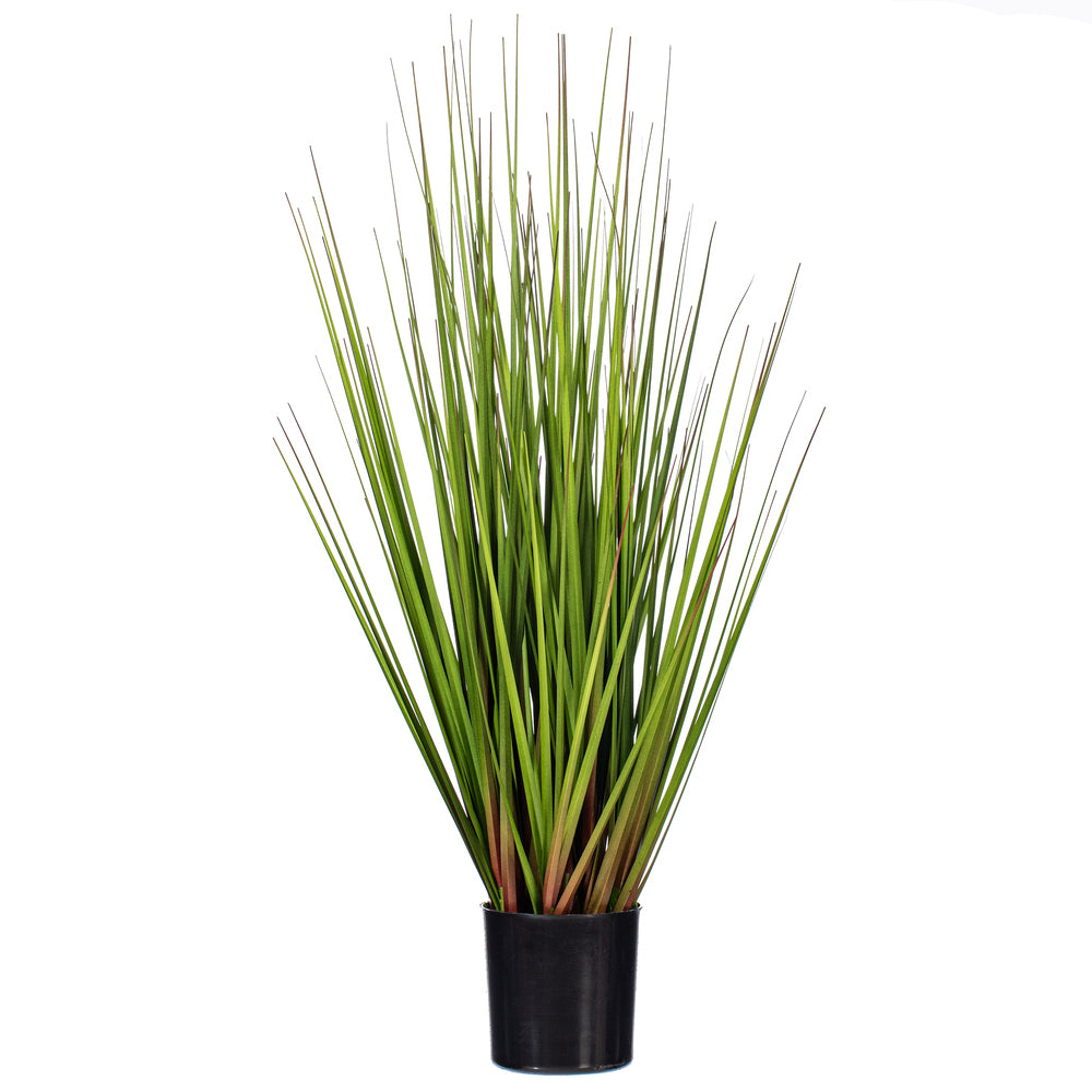 24″ Green/Burgundy Flax Grass Potted