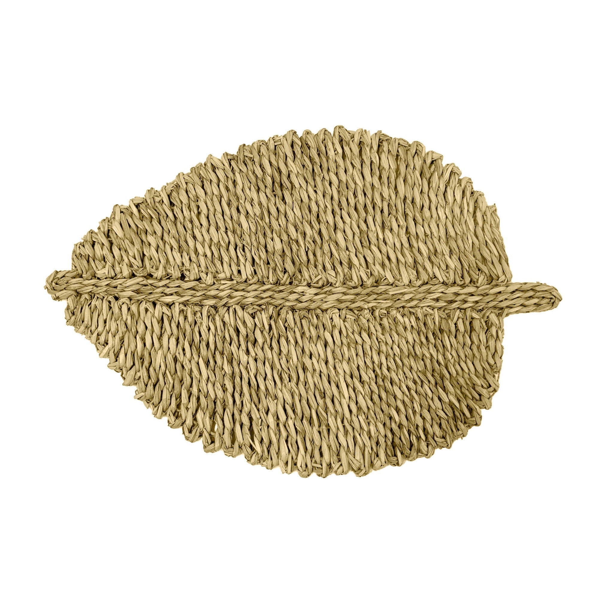 Leaf Natural Seagrass Placemat - Set Of 4