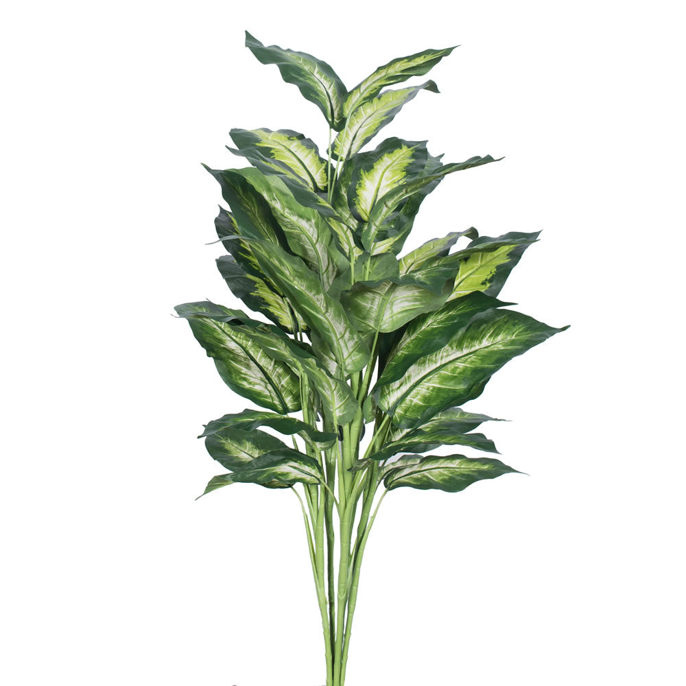 Vickerman 3' Marble Dieffenbachia Plant - TP170236
