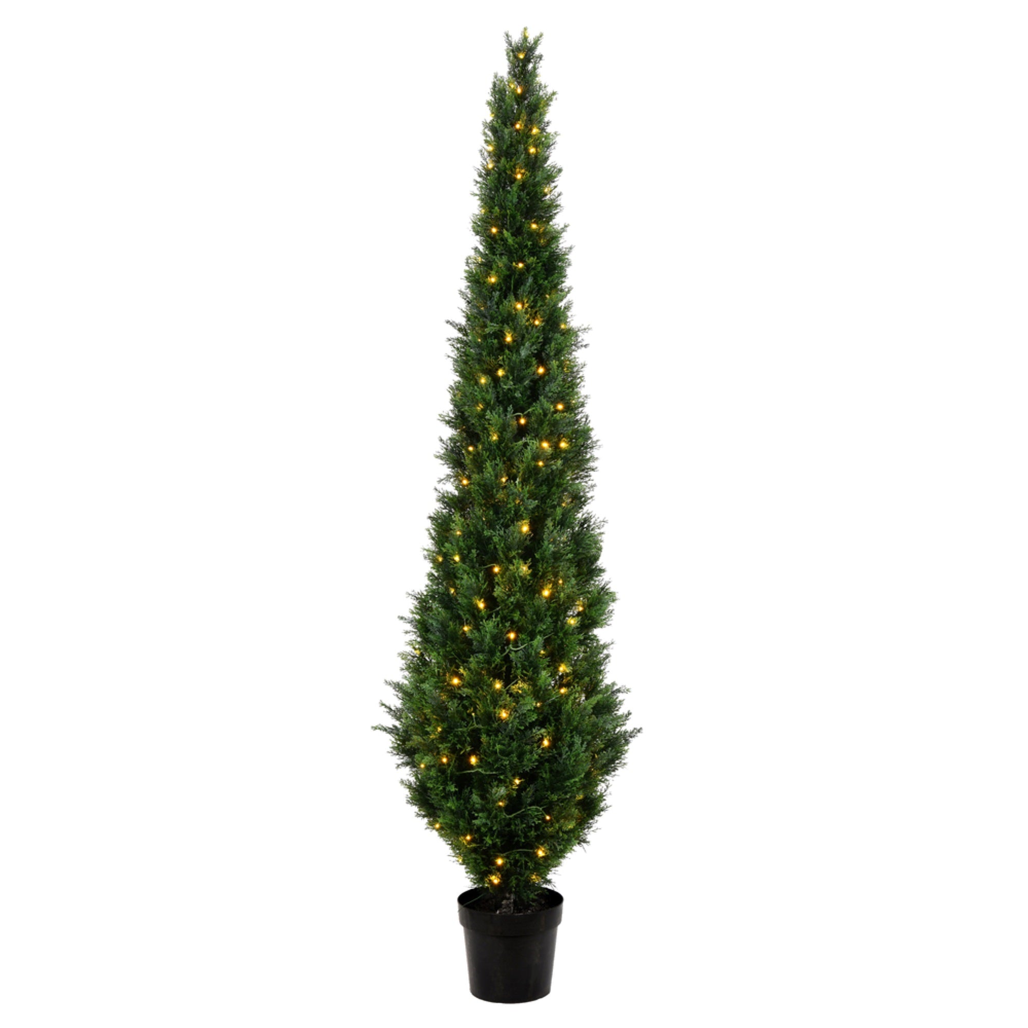 8' Cedar Tree UV 200WW LED